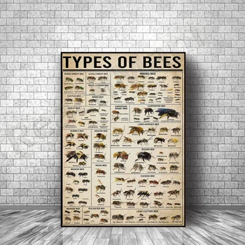 Видове знания за пчелите Модулни картини на Стенно изкуство и Картини върху платно Ретро плакат с HD печат Декорация на дома, за ферма