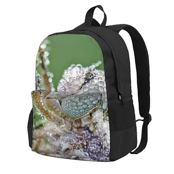 Раница за пътуване с животни, мъжка бизнес чанта, която може да бъде увеличена чанта за лаптоп с голям капацитет, модерна чанта водоустойчива